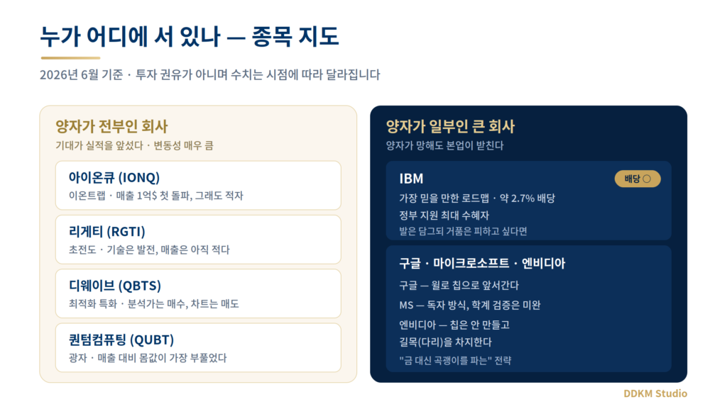 순수 양자 기업 아이온큐 리게티 디웨이브 퀀텀컴퓨팅과 빅테크 IBM 구글의 위치를 구분한 양자컴퓨팅 종목 지도